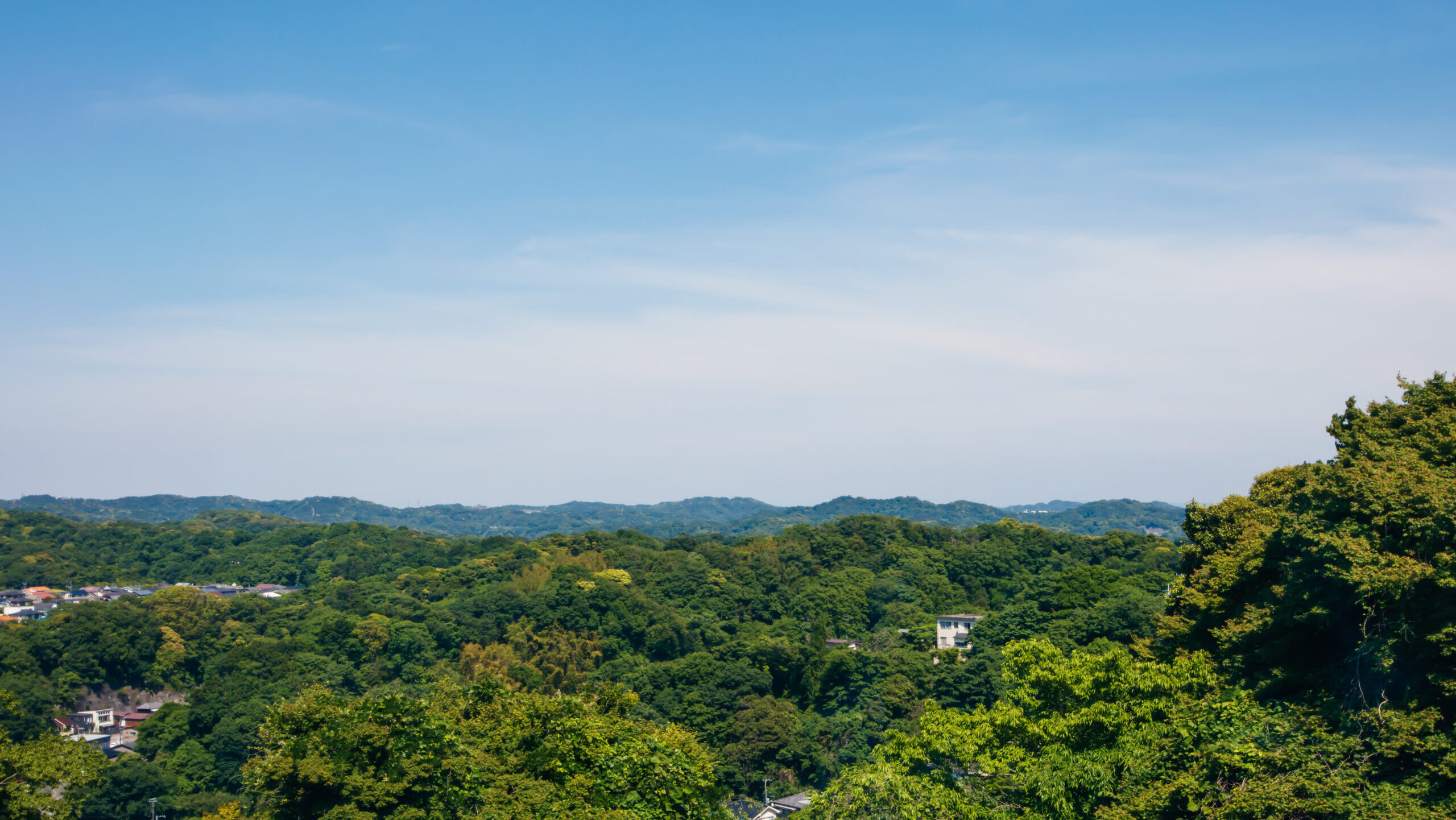 地域とともに